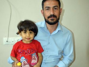 Deaş Zulmünden Kaçtı, Karaciğer Nakli Bekliyor