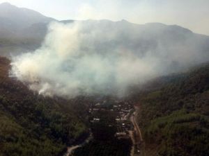Antalya’da Orman Yangını