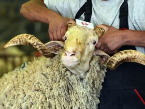 Bayramınız Kabusa Dönüşmesin