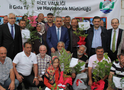 Bakan Yazıcı'nın Rize Temasları