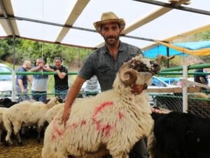 Artvin’de ‘Kesmece Kurbanlık’
