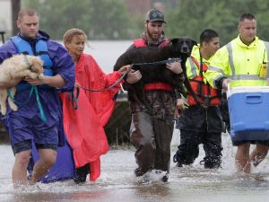 Houston’daki Kasırga Felaketinde 9 Kişi Öldü