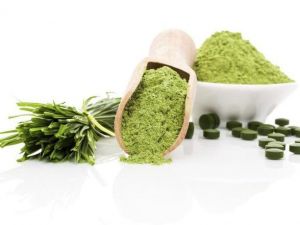 "Vitamin Ve Protein Deposu Su Yosunları"