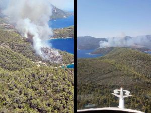 Muğla’da Orman Yangını