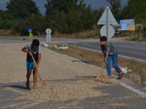 Otoyolda Kurutup Dünyanın Dört Bir Yanına İhraç Ediyorlar