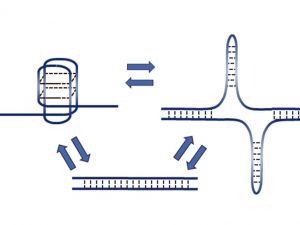 Dna Dizilimlerinde Yeni Keşif