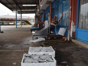 Karadeniz’de Beklenen Av Henüz Olmadı