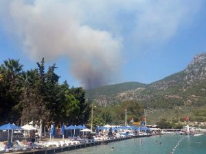 Muğla’da Orman Yangını