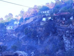 Muğla’daki Yangın Kontrol Altına Alındı