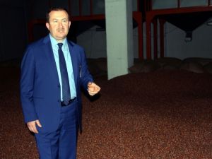 Tmo Genel Müdürü Kemaloğlu: "Fındık Üreticisi Acele Etmesin, Fiyat Arzu Ettikleri Seviyeyi Bulacak”