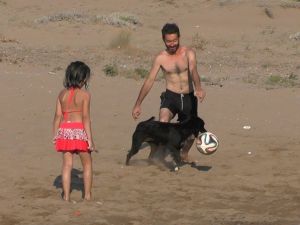 Sahipsiz Köpek Plajın Maskotu Oldu