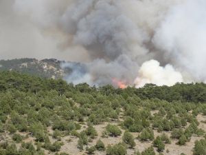 Kütahya’da Yangın Büyüyor: 7 Ev Boşaltıldı