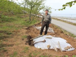 Ferrero Değerli Tarım Zirai İşler Müdürü Arıkoğlu: “Yüz Binlerce Ton Fındık Zurufu Heba Olmasın”