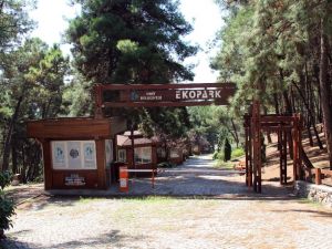 Bu Park Kendi Elektriğini Kendisi Üretiyor