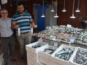 Balıklar Tezgahları Doldurdu