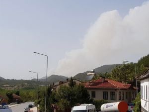 Sakarya’daki Orman Yangını Büyüyor