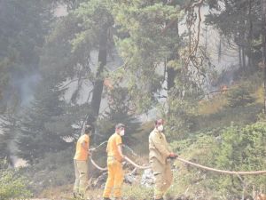 Bozüyük’te Yangın 4’üncü Gününde