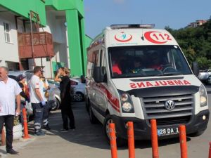 Bir Ölüm 3 Hayat Kurtardı