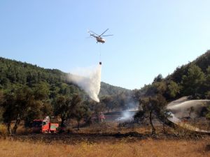 Gelibolu Yarımadasındaki Yangın Kısmen Kontrol Altında