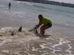 Köpek Balığını Kuyruğundan Çekerek Suya Bıraktı