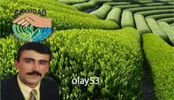 Üretici Çayını Satamıyor