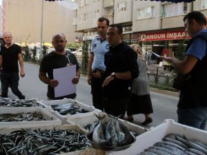 Giresun’da Balıkçı Tezgahları Denetlendi