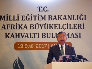 Afrika Ülkelerine ’Fetö’ Uyarısı