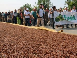 Fındık İçin Adalet Yürüyüşünün İkinci Günü De Tamamlandı