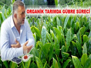 Organik Tarımda Yolu Cumhurbaşkanı Erdoğan Açtı