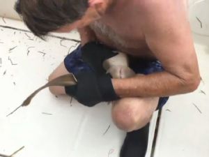 Karnından Isıran Köpekbalığından Böyle Kurtuldu