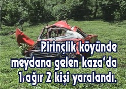 Ardeşen'de araç çay bahçesine uçtu
