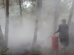 Amasra’da Orman Yangını