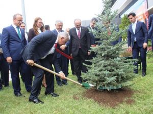 Başbakan Yıldırım Fidan Dikti