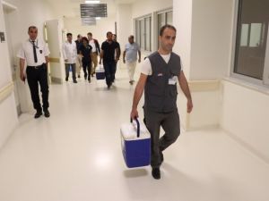 Organ Bekleyen 5 Hastanın Umudu Oldu