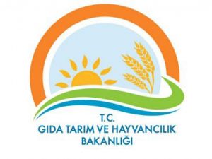 Bakanlıktan "Suriyelileri Göndermeyeceğiz" İfadesine İlişkin Açıklama