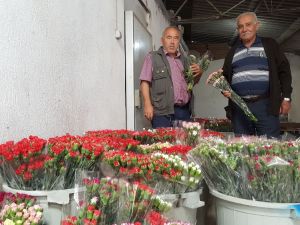 Yılda 20 Milyon Tl Kazanç Sağlıyorlar