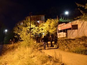 Gümüşhane’de Cinnet Getiren Baba 3 Oğlunu Vurdu