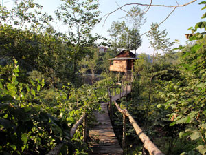 Rize'deki İlginç Ev Tehlikede