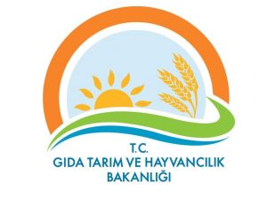 Bakanlıktan Bir ’Sığır Eti’ Açıklaması Daha