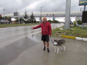 Köpeği İle Birlikte Günlerce Otostop Çekti