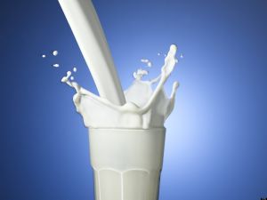 Ağustos’ta 754 Bin 635 Ton İnek Sütü Toplandı