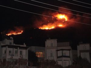 Bodrum’da Alevler Yerleşim Yerlerine Yaklaştı