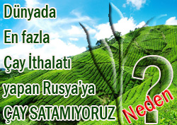 Rusya'ya Bile Çay Satamıyorlar!