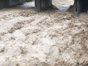 Artvin’de Şiddetli Yağmur Derelerin Taşmasına Sebep Oldu