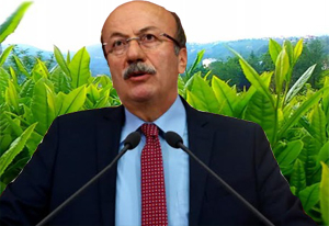 Bekaroğlu, Çayda Zorunlu Organik Gübreye Geçişi Sordu