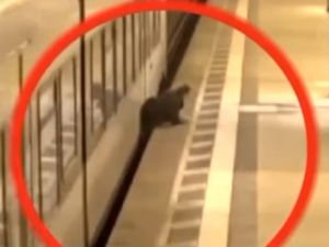 Metroda Dehşet Anları !