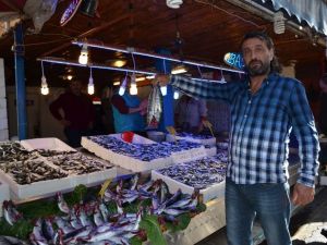 Trabzon’da Sezonun En Bol Hamsi Ve Palamut Avı Yüzleri Güldürdü