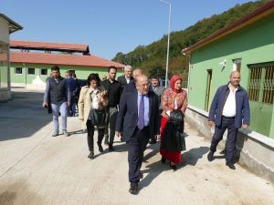 Türkiye’nin En Büyük ‘Hayvan Bakım Merkezi’ Trabzon’da Hizmete Giriyor