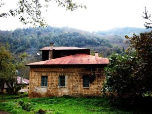 Rum Bir Çocuk Ve Bir İlçenin Abd’ye Göçü