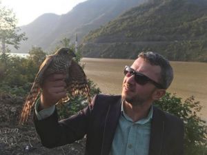 Artvin’de Yaralı Atmaca Tedavisinin Ardından Doğaya Bırakıldı